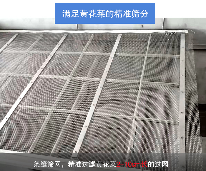 黃花菜直線振動篩